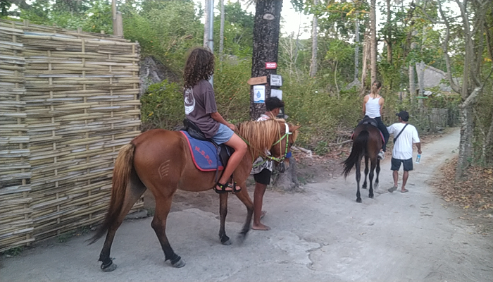 Gili air horse riding Gili gifts Gili arts, Gili souvenir, Gili merchandise,